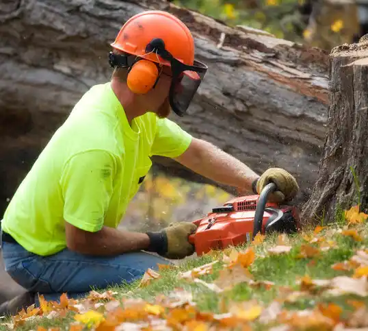 tree services Helena Valley Southeast